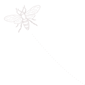 slider-icon-2